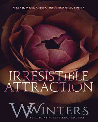 Irresistible Attraction by Willow Winters